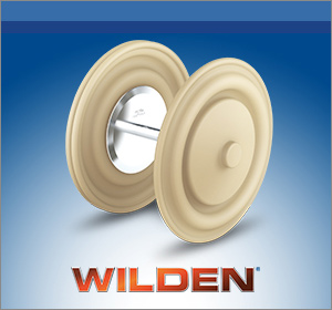 Wilden logo overlayed against a background featuring industrial pipes