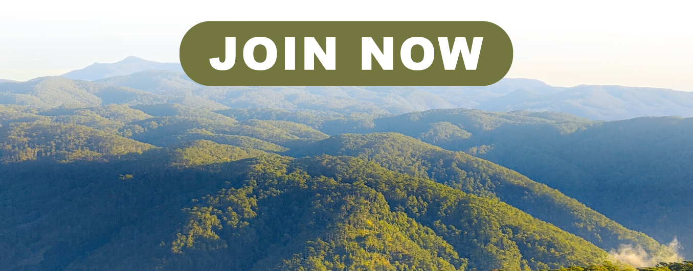 Join Now