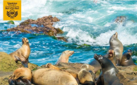 La Jolla Cove