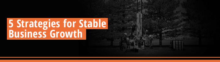 5 Strategies for Stable Business Growth