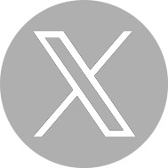 X Icon